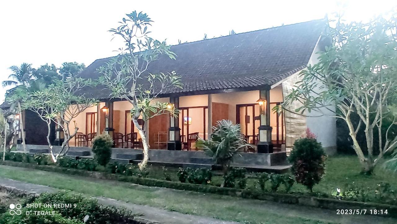 乌布D' Tegal House公寓 外观 照片